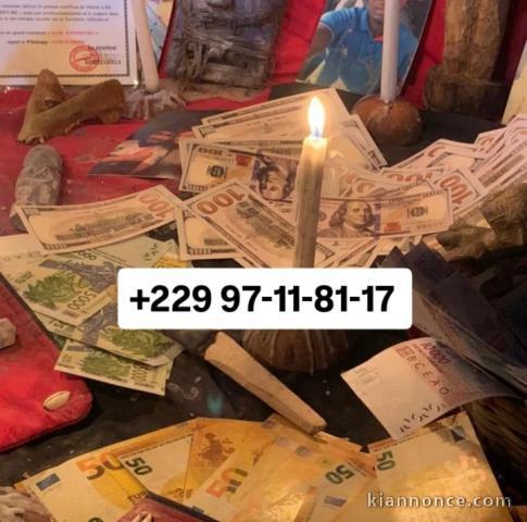LE VRAI PORTEFEUILLE MAGIQUE TRÈS PUISSANT +229 97 -11-81-17