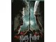 Harry Potter et les Reliques de la Mort 2&egrave;me Partie Blu Ray