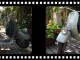 vespa rare type ACMA neuve