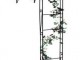Pergola en arc pour rosiers fich&eacute;e au mur
