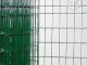 Rouleaux de grillage soud&eacute; Vert 100x50 et 50x50