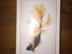 Apple iPhone 6s plus128 Go D&eacute;bloqu&eacute; Neuf & Garantie 1an