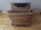 Accord&eacute;on Diato Serafini 2 voix