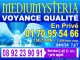 LE TOP DES PREDICTIONS AMOUR (0,40&euro;) 0892 23 90 91