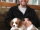 Cavalier King Charles Femelle A DONNER