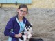 Adorable Siberian Husky Femelle &agrave; donner