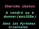 Cherche chaton &agrave; vendre ou donner 