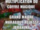 ATTIRER L&rsquo;ARGENT DANS L&rsquo;IMM&Eacute;DIAT-PUISSANT SORCIER GRAND MA&Icirc;TRE MA