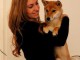 chiots Shiba Inu  LOF ........