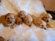 Labradoodle chiots &agrave; vendre
