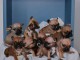 Bulldog fran&ccedil;ais chiots &agrave; vendre