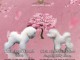 Bichon Fris&eacute; chiots &agrave; vendre