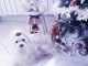 Je donne chiot bichon fris&eacute; pour No&euml;l 