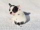 chiot chihuahua &agrave; adopter 