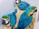 Perroquet disponible imm&eacute;diatement 