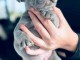 Chiots bouledogues Fran&ccedil;ais disponible 