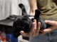 &agrave; adoption chiot bouledogue fran&ccedil;ais m&acirc;le 